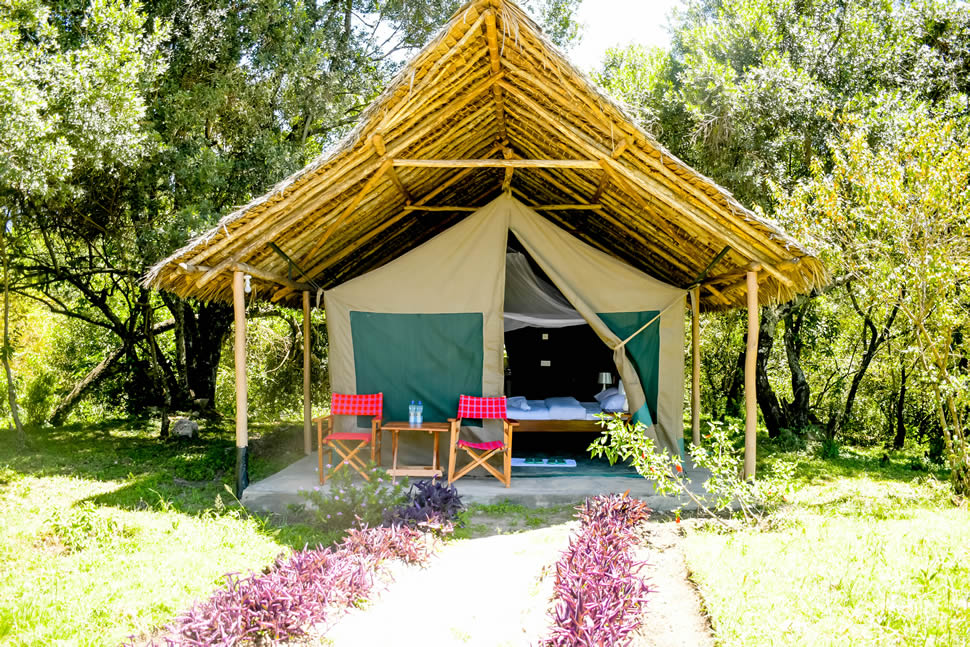 Double Room Tent Double Room Tent